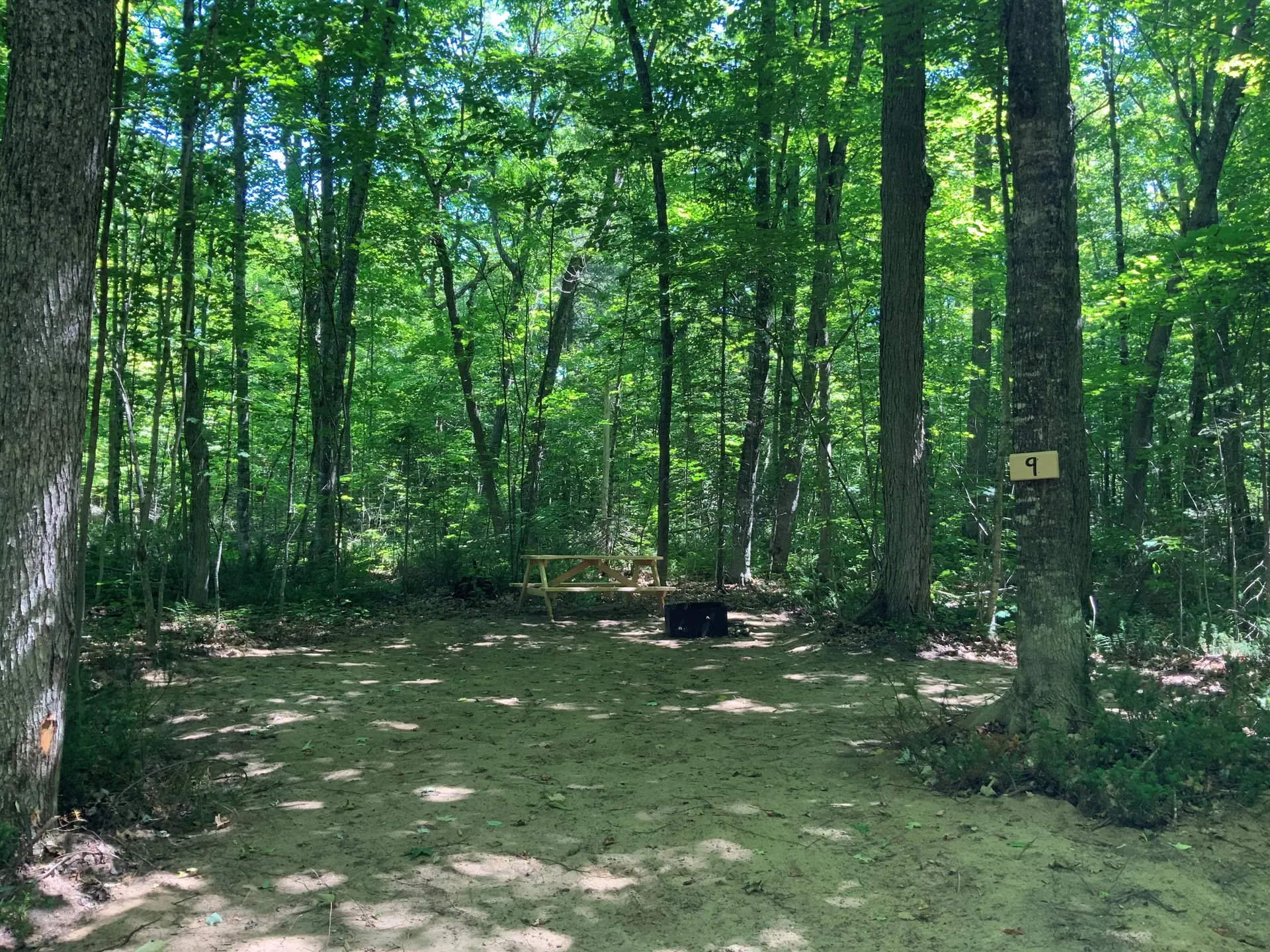 Great Lake Cabins campsite